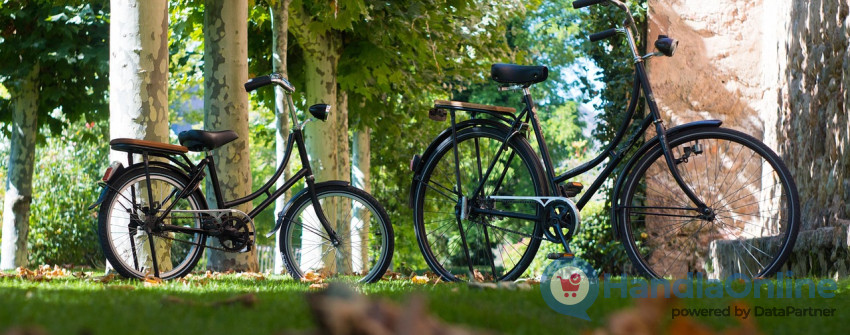 Cyklar parkerade på en väg i skogen