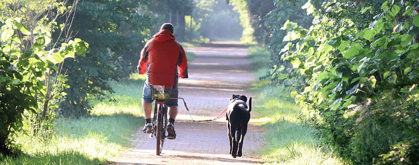 Man med röd jacka cyklar på en grusväg med sin svarta hund i koppel